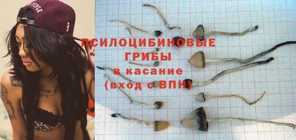 шишки Алексеевка