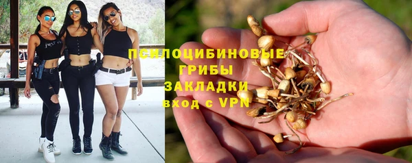 гидра Алзамай