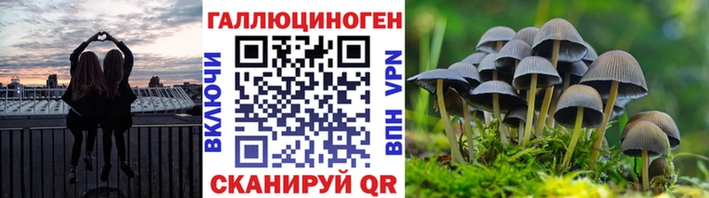 kraken зеркало  купить наркотики цена  Карпинск  Галлюциногенные грибы мицелий 