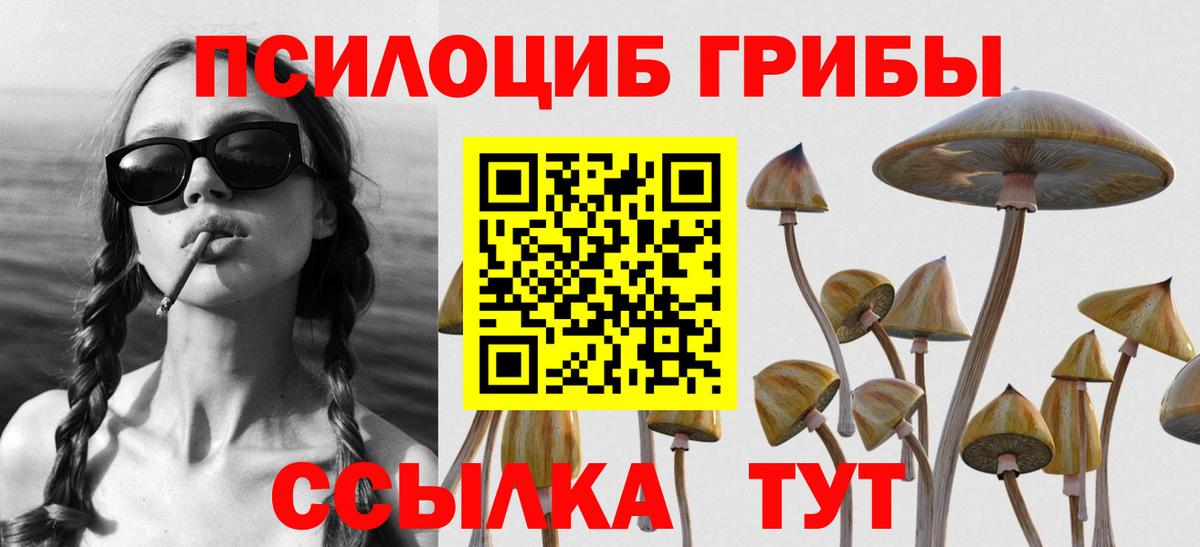 Псилоцибиновые грибы Psilocybe  Вход с VPN  Карпинск 