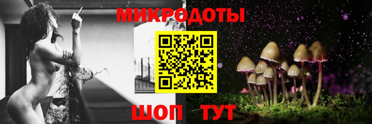 Псилоцибиновые грибы MAGIC MUSHROOMS Карпинск